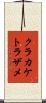 クラカケトラザメ Scroll