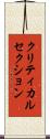 クリティカル・セクション Scroll