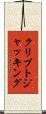 クリプトジャッキング Scroll