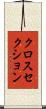 クロスセクション Scroll