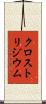 クロストリジウム Scroll