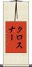 クロスナー Scroll