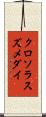 クロソラスズメダイ Scroll