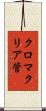 クロマクリア管 Scroll