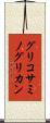 グリコサミノグリカン Scroll