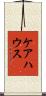 ケアハウス Scroll
