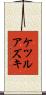 ケツルアズキ Scroll