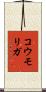 コウモリガ Scroll