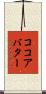 ココアバター Scroll