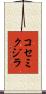 コセミクジラ Scroll