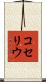 コセリウ Scroll