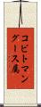 コビトマングース属 Scroll