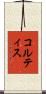 コルティス Scroll