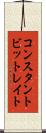 コンスタント・ビット・レイト Scroll