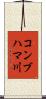 コンブハマ川 Scroll