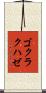 ゴクラクハゼ Scroll