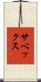 サベックス Scroll