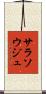 サラソウジュ Scroll