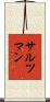 Saltzman Scroll
