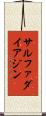 サルファダイアジン Scroll