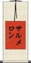 Salmeron Scroll