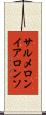 サルメロンイアロンソ Scroll