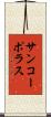 サンコーポラス Scroll