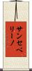 サンセベリーノ Scroll