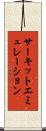 サーキットエミュレーション Scroll