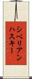 シベリアンハスキー Scroll
