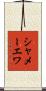 シャメーエワ Scroll
