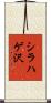 シラハゲ沢 Scroll