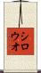 シロウオ Scroll