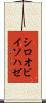 シロオビイソハゼ Scroll