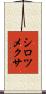 シロツメクサ Scroll