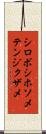 シロボシホソメテンジクザメ Scroll
