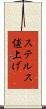 ステルス値上げ Scroll