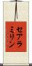 セアラミリン Scroll