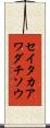 セイタカアワダチソウ Scroll