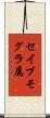セイブモグラ属 Scroll