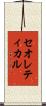 セオレティカル Scroll