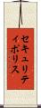 セキュリティ・ポリス Scroll