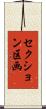 セクション区画 Scroll