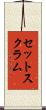 セットスクラム Scroll