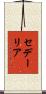 セデーリア Scroll