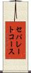 セパレートコース Scroll