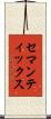 セマンティックス Scroll