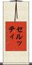 セルッティ Scroll