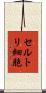 セルトリ細胞 Scroll