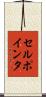 セル・ポインタ Scroll